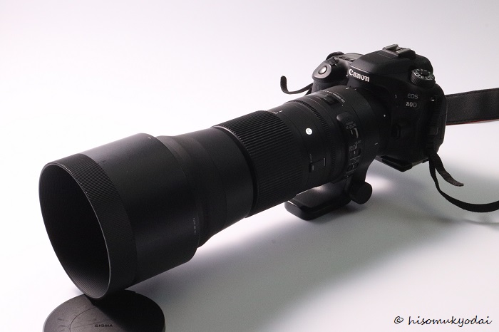 お買い得！シグマ150-600mm F5-6.3 DG Contemporary | www.hima.am