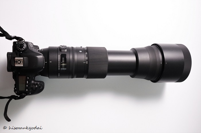 初売り SIGMA 150-600mm F5-6.3 DG OS HSM Sports S014 Nikon F-FX