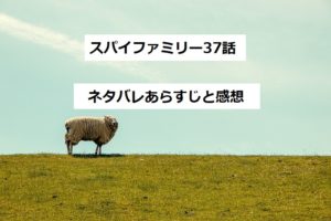 ケッコー ケンコウ家族 一気読みしてしまった漫画 結末ネタバレあり 束木に涙 四国の片隅に潜む姉弟