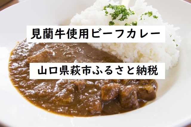 見蘭牛カレー ふるさと納税 ザワつく金曜日紹介の見島牛が父親 萩市のビーフカレー 四国の片隅に潜む姉弟