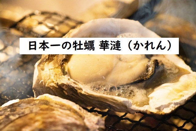 かれん 牡蠣
